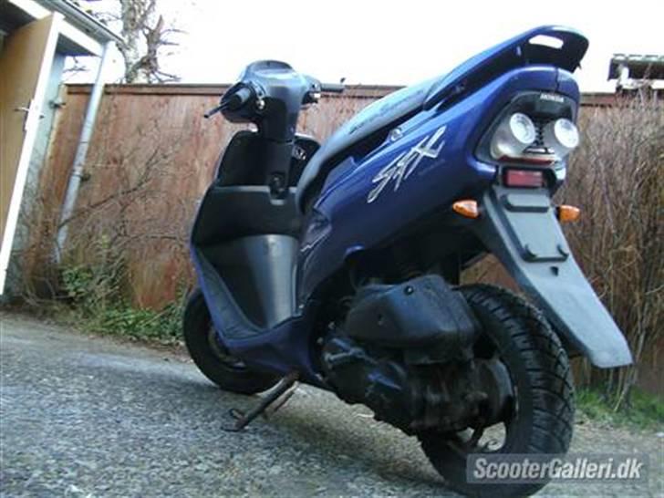 Honda SFX billede 5