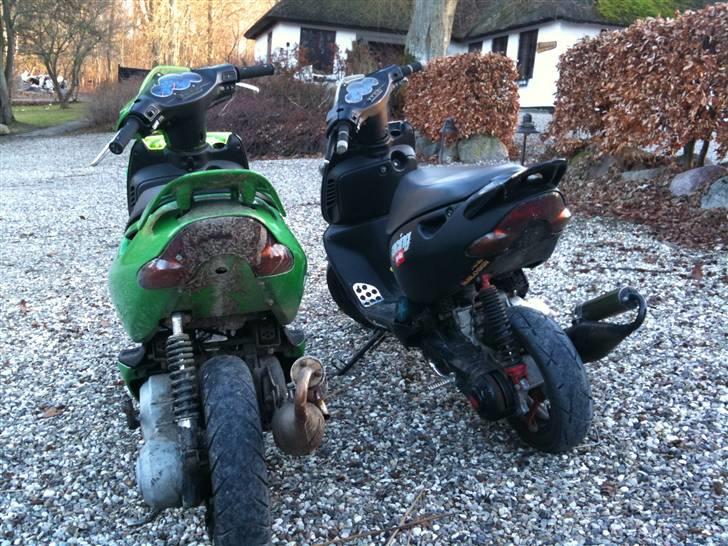 Aprilia Sonic (Byttet til Hot)  billede 5