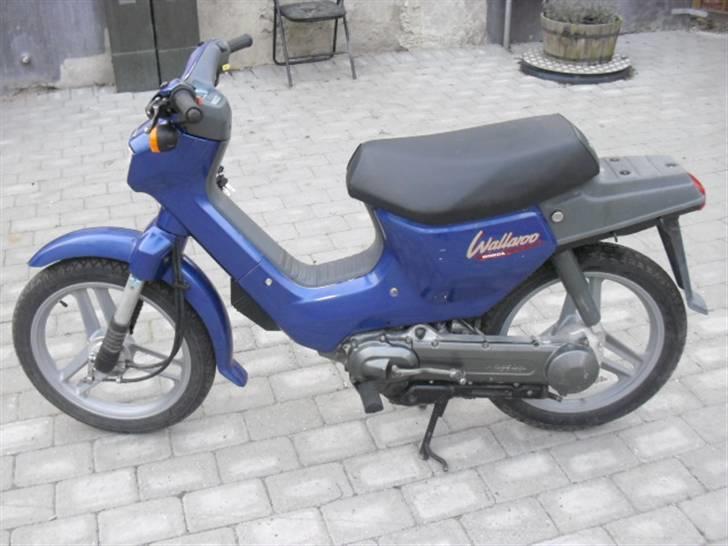 Honda Wallaroo billede 1
