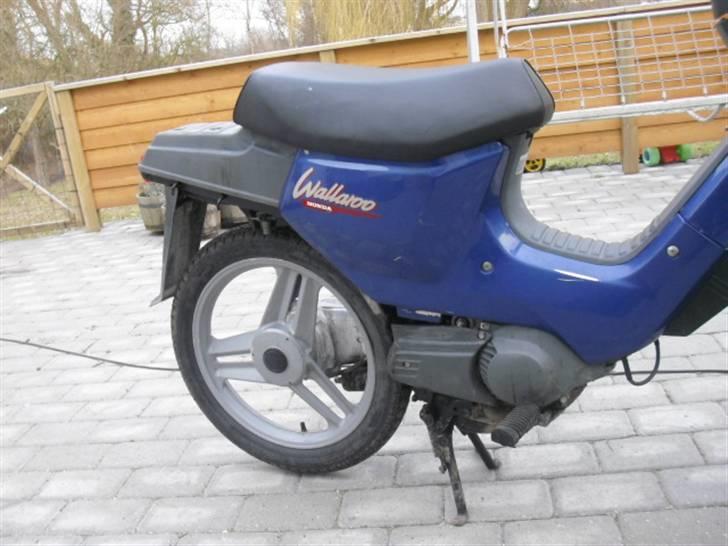 Honda Wallaroo billede 2