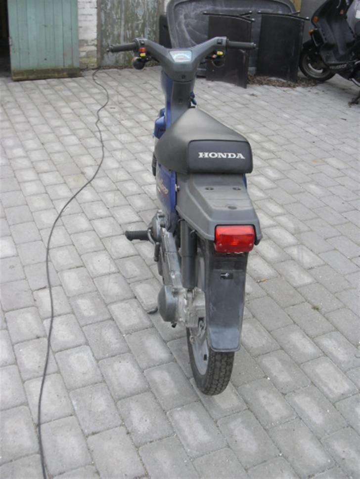 Honda Wallaroo billede 4