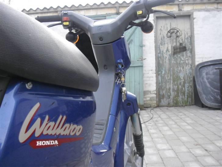 Honda Wallaroo billede 5