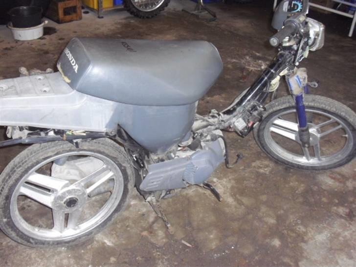 Honda Wallaroo billede 7