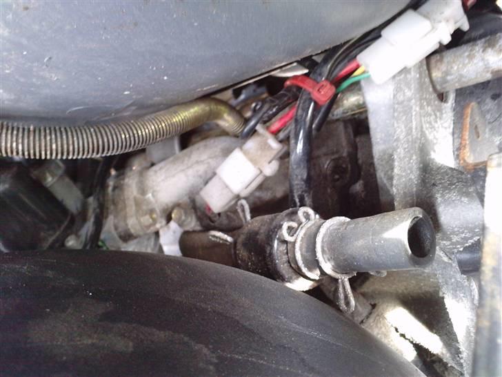 PGO Hot 50 billede 3