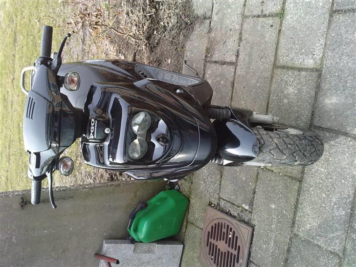 PGO Hot 50 billede 5