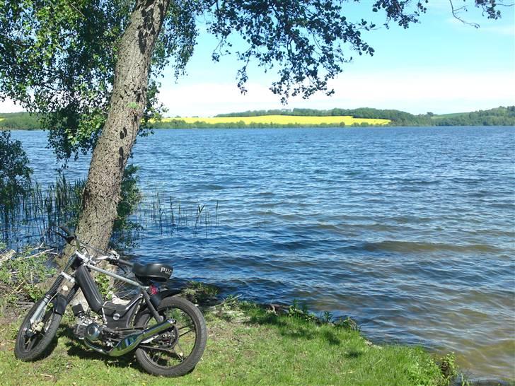 Puch maxi (Sorte Suzi) billede 1