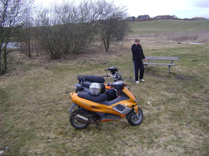 PGO HOT50 - AlexKofoed billede 12