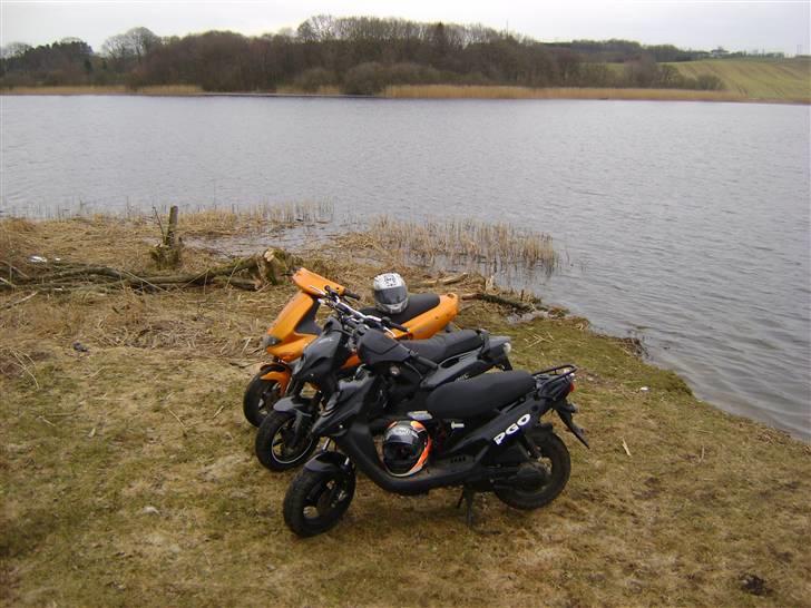 PGO HOT50 - AlexKofoed billede 14