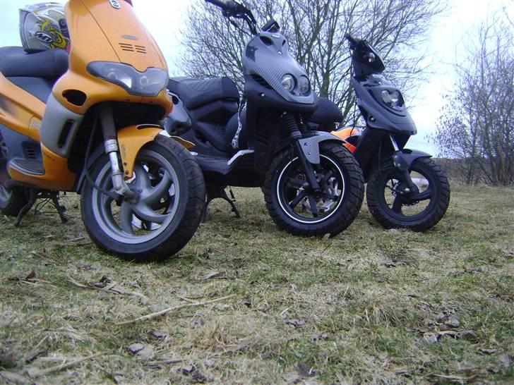 PGO HOT50 - AlexKofoed billede 16