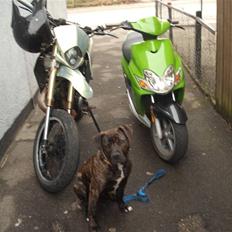 Suzuki smx  1998   ( solgt )