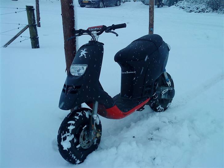 Piaggio Typhoon "SPITTET" billede 1