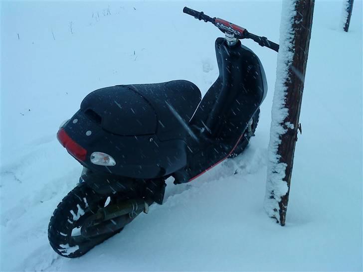Piaggio Typhoon "SPITTET" billede 2