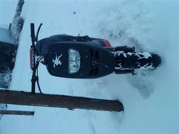 Piaggio Typhoon "SPITTET" billede 3