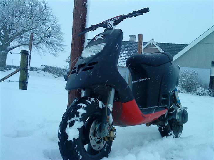 Piaggio Typhoon "SPITTET" billede 4