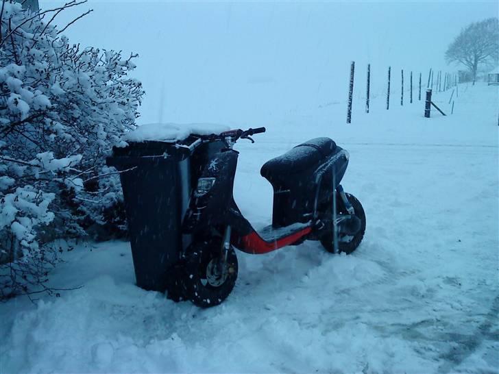 Piaggio Typhoon "SPITTET" billede 5
