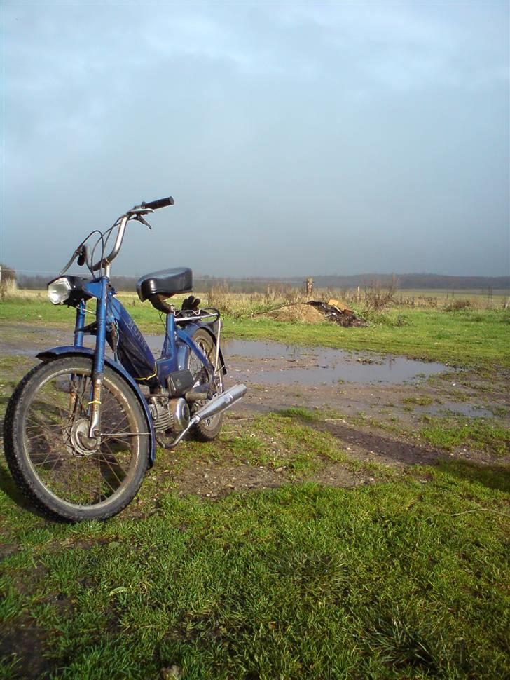 Puch maxi k - GAMMEL BILLEDE - Standard billede 6