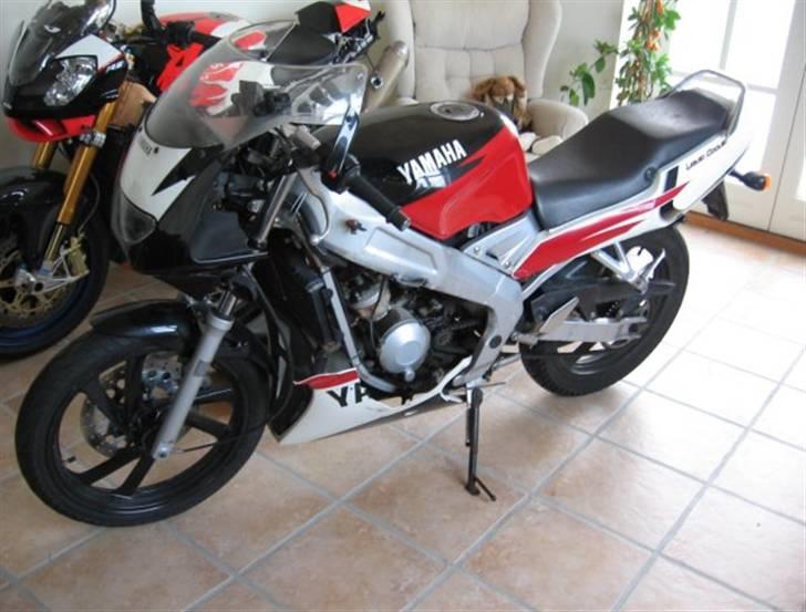 Yamaha TZR 50 billede 3