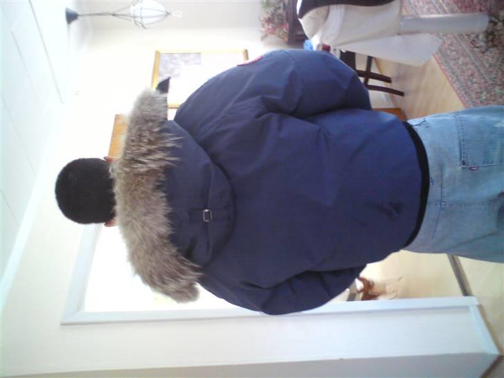 Adly baboon billede 10