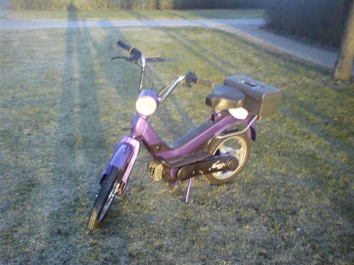 Piaggio grillo solgt  - billeder er taget den 29 marts 2010 billede 1