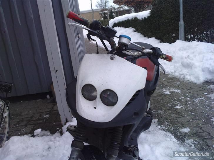 PGO PMX ( solgt ) billede 6