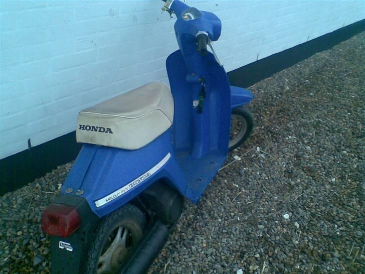 Honda melody mini - nt50 billede 2