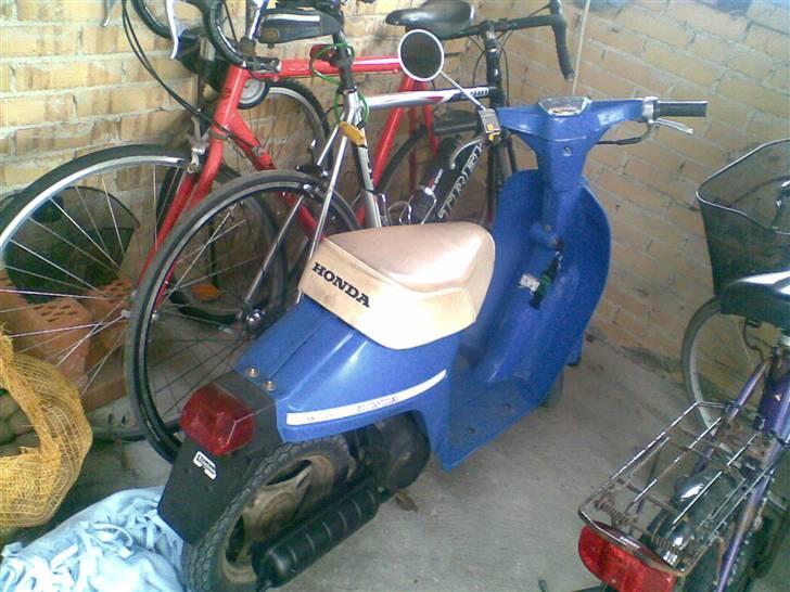 Honda melody mini - nt50 billede 7