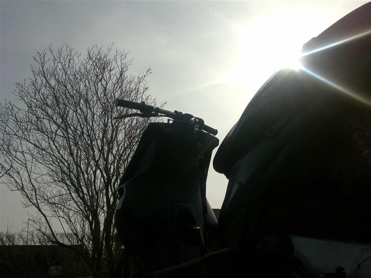 Piaggio Nrg Power DT  TOTALSKADET billede 17