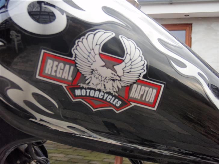 Regal raptor dd50 qe - 3 (70cc) billede 7