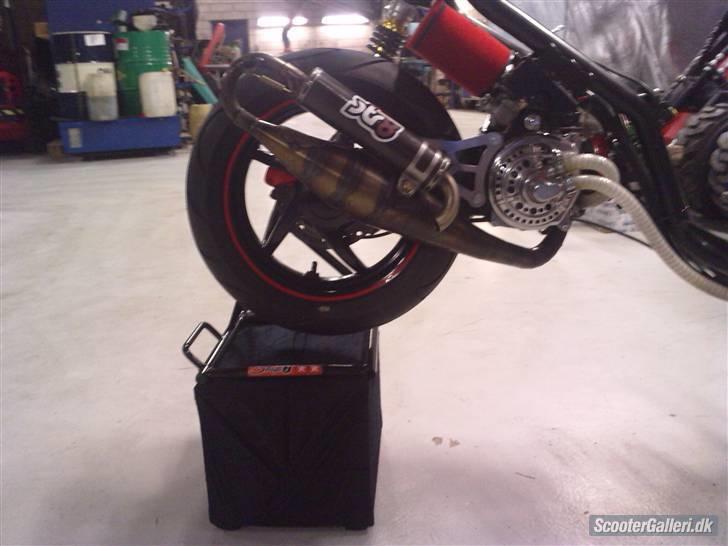 Aprilia Sonic Red Bitch - TIL SALG i dele billede 15