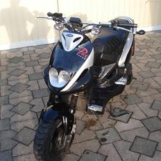 PGO Pmx Naked solgt!