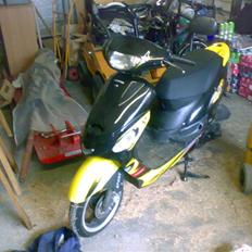 Giantco Sprint ("Vente"Bent)