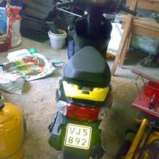 Giantco Sprint ("Vente"Bent)