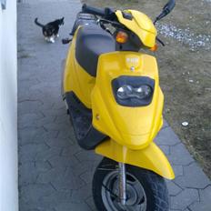 PGO Big Max