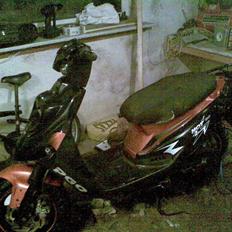 PGO hot 50(taget af politiet)