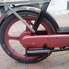 Vespa caio