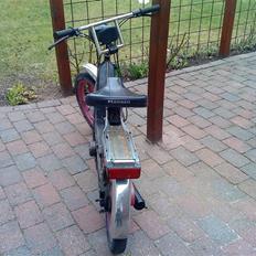 Vespa caio