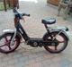 Vespa caio
