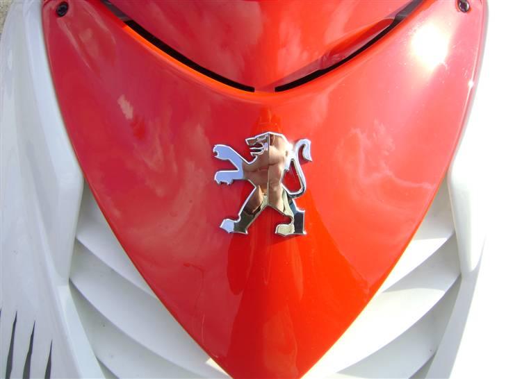 Peugeot Speedfight 2 R-Cup (Før) billede 4