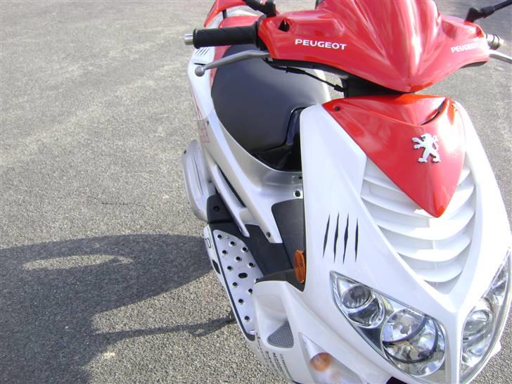 Peugeot Speedfight 2 R-Cup (Før) billede 6