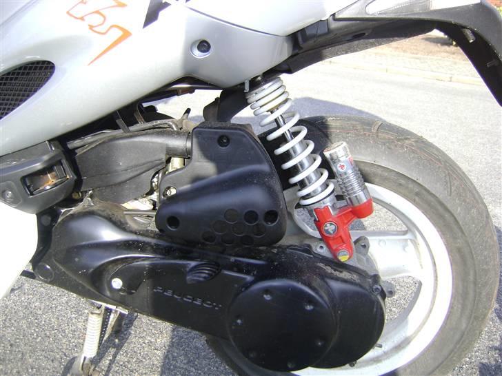 Peugeot Speedfight 2 R-Cup (Før) billede 8