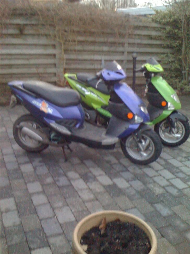 PGO dr big byttet til g-max billede 7