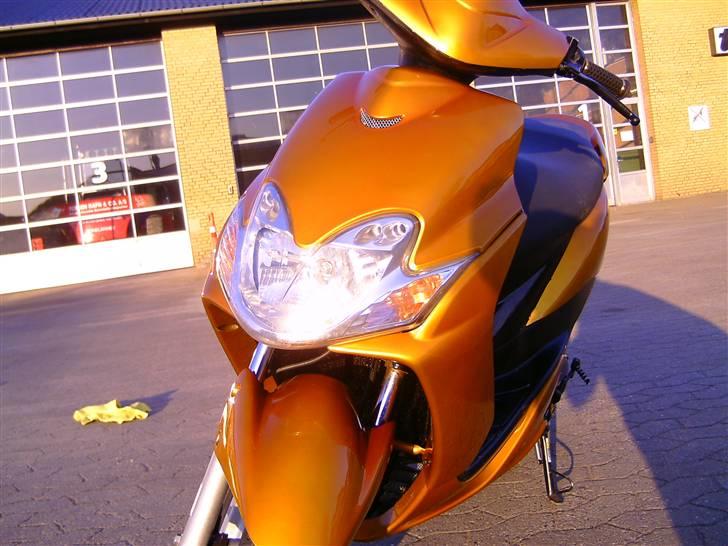 Yamaha Jog R... GULDGRISEN  billede 1