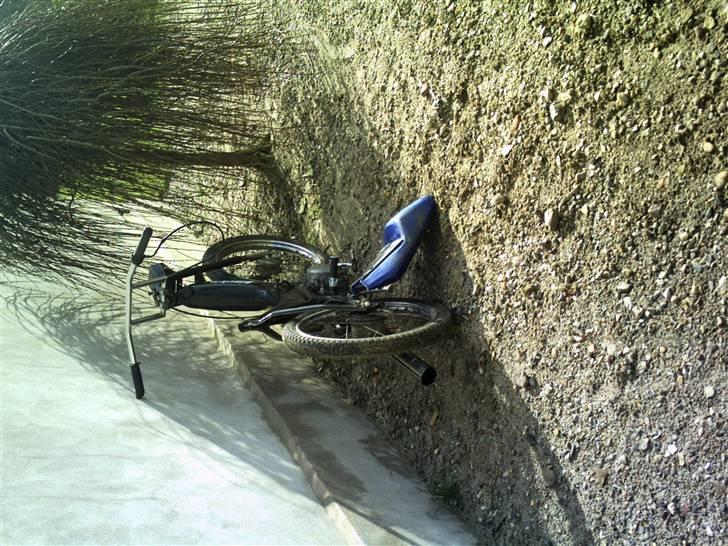 Puch Maxi K [Byttet til Rox] billede 2