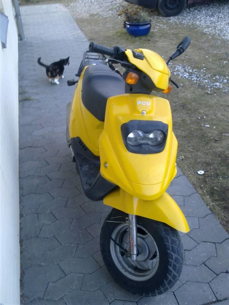 PGO Big Max billede 1