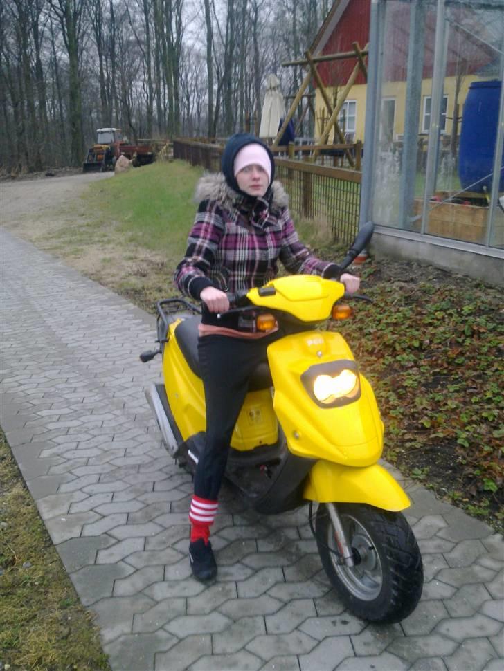 PGO Big Max billede 4