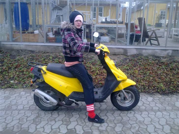 PGO Big Max billede 5