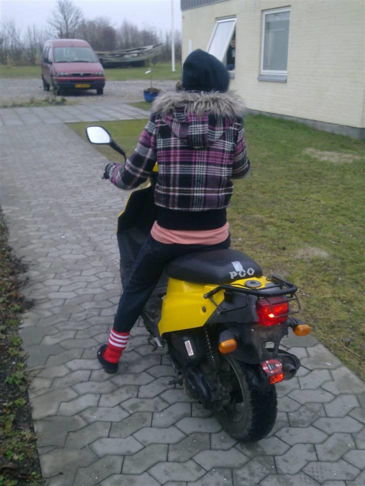 PGO Big Max billede 6