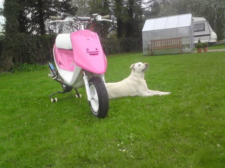 Yamaha Jog Evo2 Lc (SOLGT) billede 1