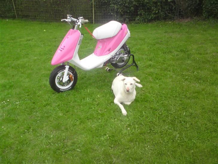 Yamaha Jog Evo2 Lc (SOLGT) billede 2