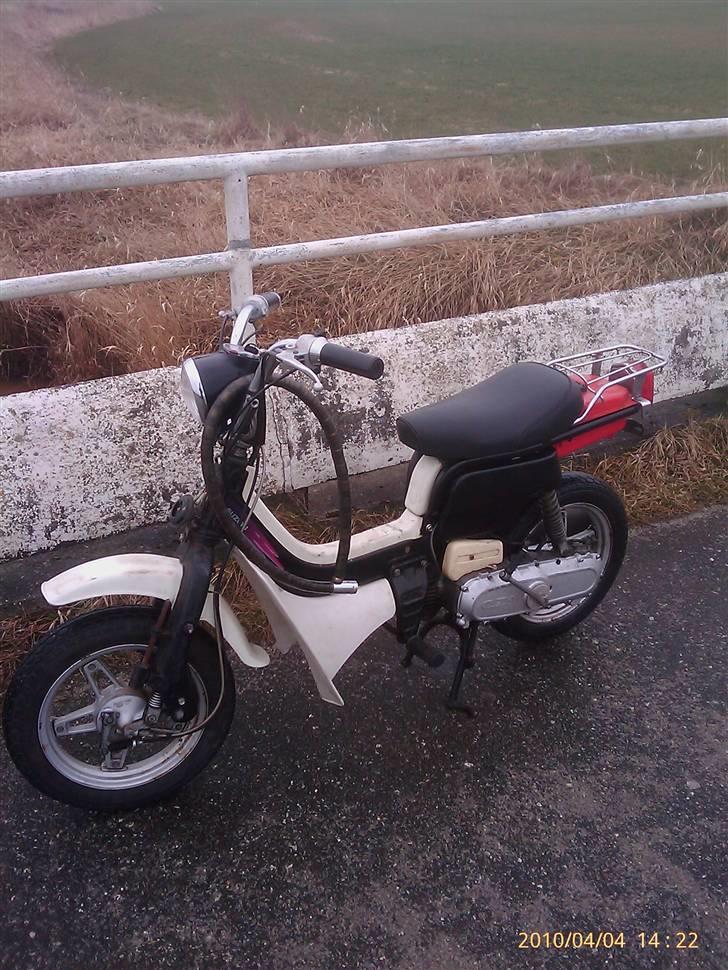 Suzuki FZ50 byttet t. Jog billede 1